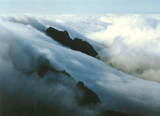 黃山 云海