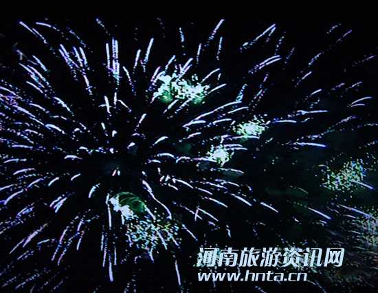 09年鄭東新區(qū)元宵晚會(huì)-焰火照片