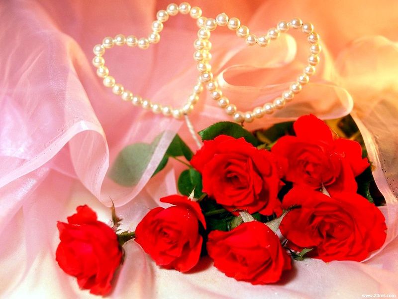 ˹(ji)DƬ