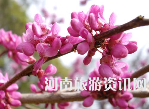 GչϵG