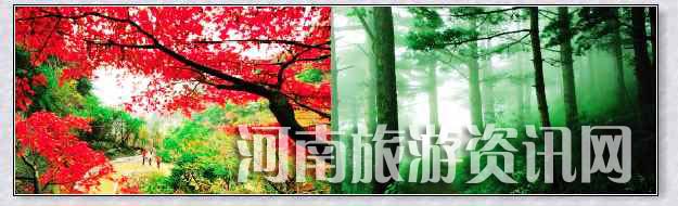 质ľX    
