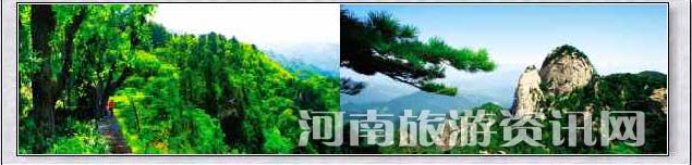 质ľX