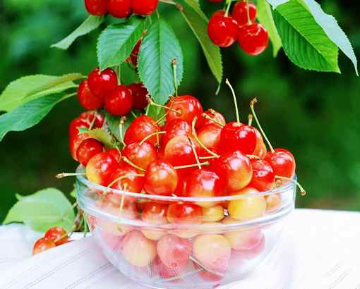 sҜϵݙҹ(ji)