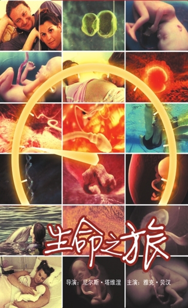o(j)Ƭ֮