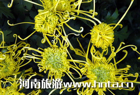 _(ki)ջĻ(ji)(i)ո֮