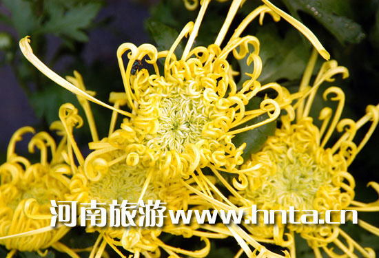 _(ki)ջĻ(ji)(i)ո֮