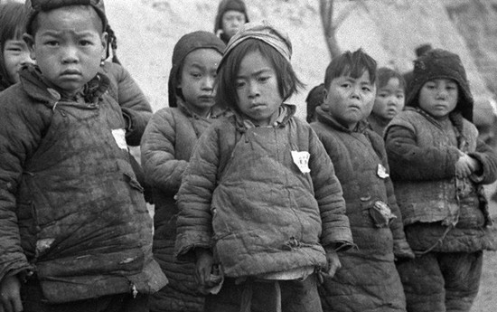ϣع1942(ji)x