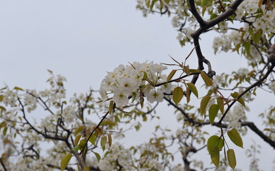 p滨 ֮l(xing)gӭ