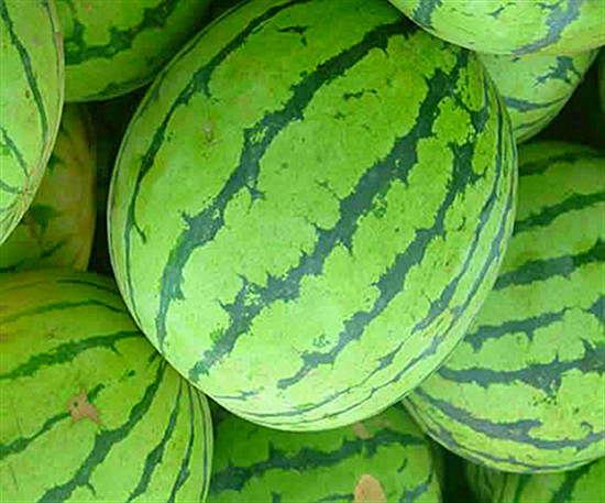 خa 