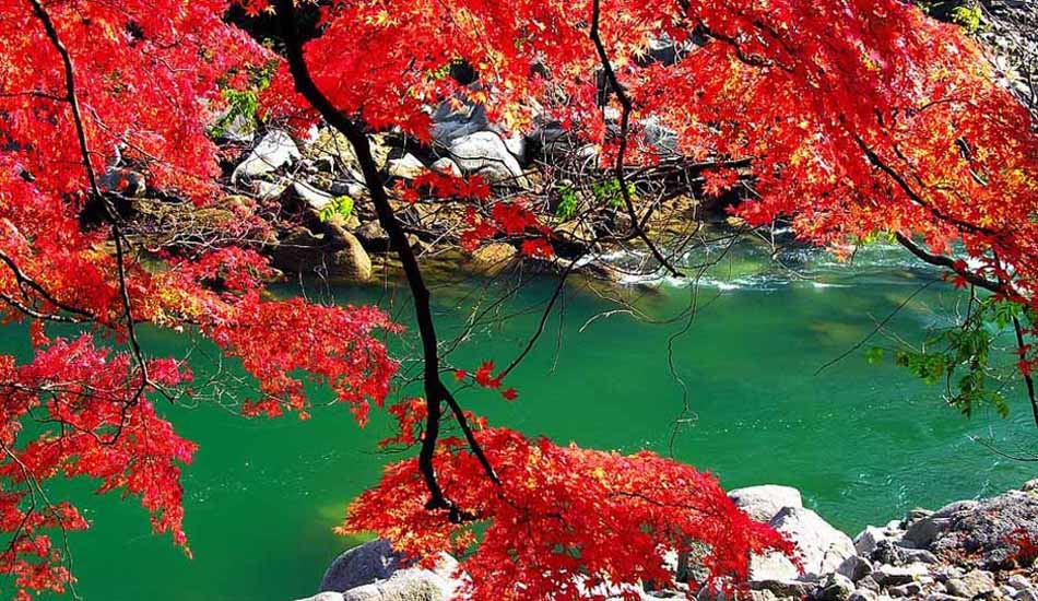 9 cӾ^(q)(li)(chng)s“”
