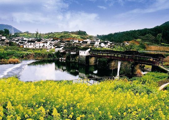 早春 和婺源來一場關(guān)于油菜花的約會(huì)吧