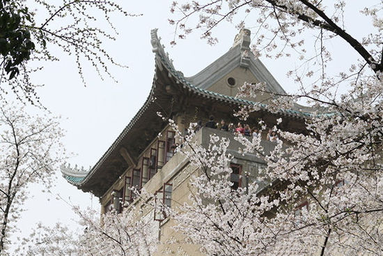 享受這個春天 盤點自駕游必去的城市