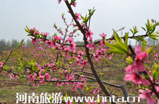 “2014•春之歌”長(zhǎng)葛休閑旅游文化節(jié)開(kāi)幕